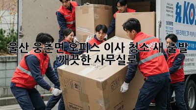 울산 웅촌면 오피스 이사 청소: 새 출발, 깨끗한 사무실로! ✨