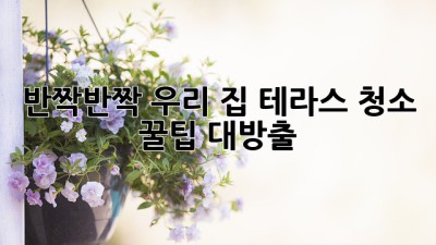 반짝반짝✨ 우리 집 테라스, 청소 꿀팁 대방출! 🧽